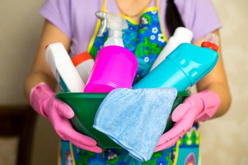 Professional stain removal for carpet and upholstery in Hackney homes