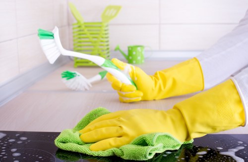 Local cleaner inspecting a fabric sofa before deep cleaning in Hackney
