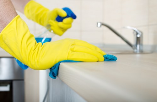 Thorough oven cleaning for a Hackney household kitchen