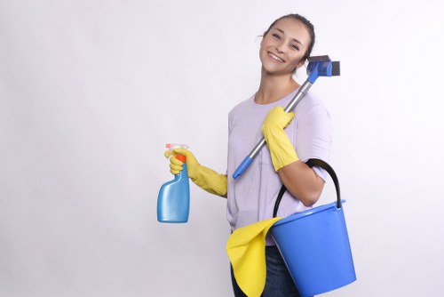 Step-by-step professional rug cleaning process for Hackney customers