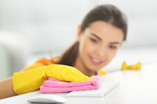 Professional cleaner maintaining a well-kept Hackney property