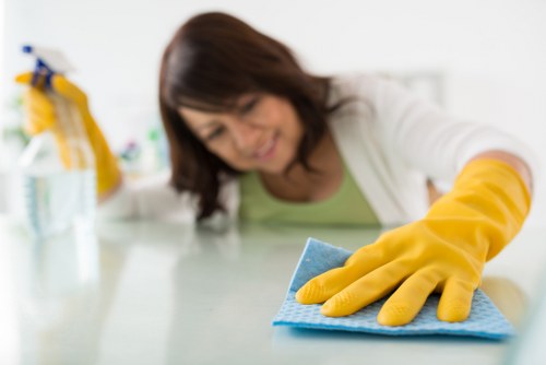 Local oven cleaner servicing a flat in Hackney