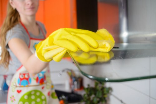 Local pet odour removal service for homes and businesses in Hackney