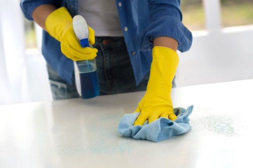 Professional cleaners maintaining a Hackney office kitchen and shared area